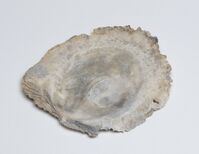 1991.0296.05.jpg; 1991.0296; ;