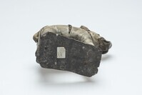 1991.0315.06.jpg; 1991.0315; ;