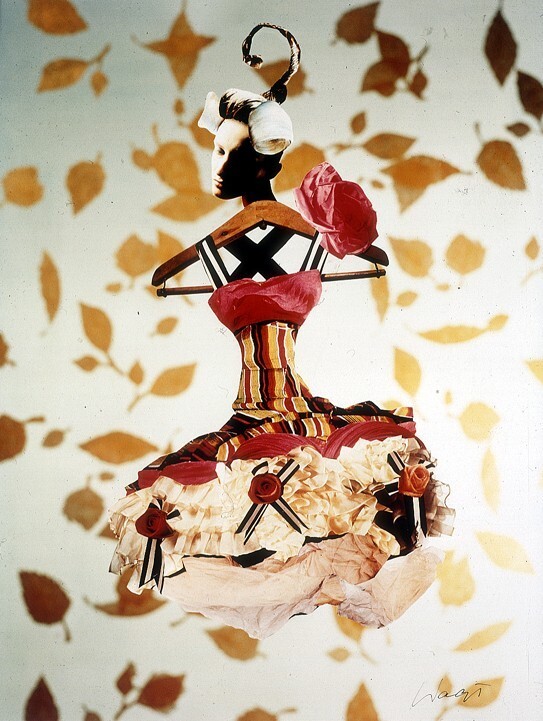 Lacroix Feuilles