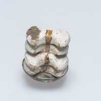 1996.1501.03.jpg; 1996.1501; ;