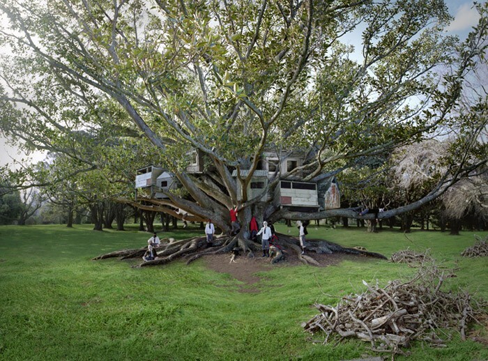 Tree  Dwellers