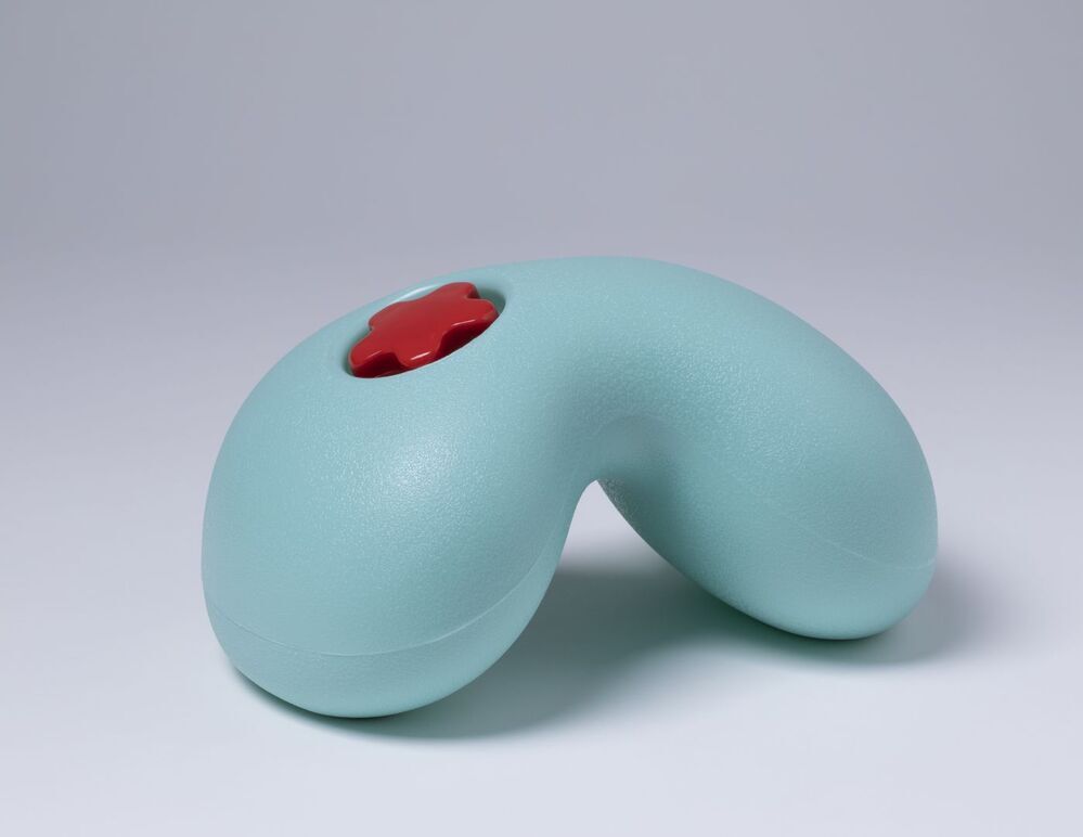 Rock Door Stop