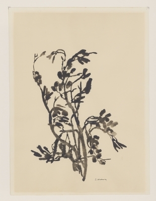 2006.0120.01.jpg; 2006.0120; ;