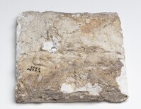 2007.0008.A.02.jpg; 2007.0008.A; ;