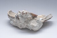 2007.0135.02.jpg; 2007.0135; ;