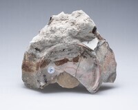 2007.0135.04.jpg; 2007.0135; ;