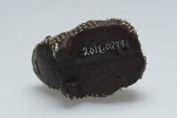 2011.0273.05.jpg; 2011.0273; ;