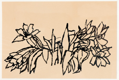 2013.0095.jpg; 2013.0095; ;