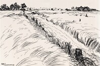 2013.0117.K.01.jpg; 2013.0117; ;