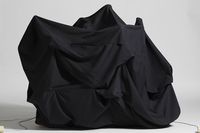 2016.0166.jpg; 2016.0166; ;