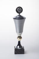 2016.0295f.01.jpg; 2016.0295; ;