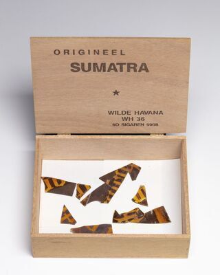 2021.0064.01.jpg; 2021.0064; ;