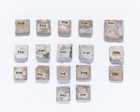 2021.0184.02.jpg; 2021.0184; ;