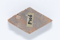 2021.0186.02.jpg; 2021.0186; ;