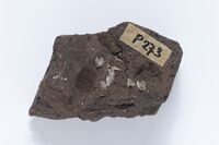 2021.0188.02.jpg; 2021.0188; ;