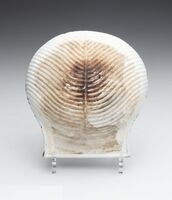 2021.0345.03.jpg; 2021.0345; ;