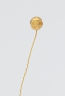 2025.0103.05.jpg; 2025.0103; ;