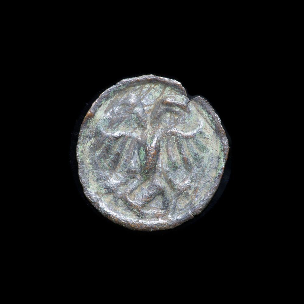 Dubbele bracteaat, penning, holmuntje of heller, z.j. (vóór 1563), stad Groningen