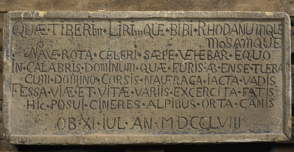 Grafzerk van een hond