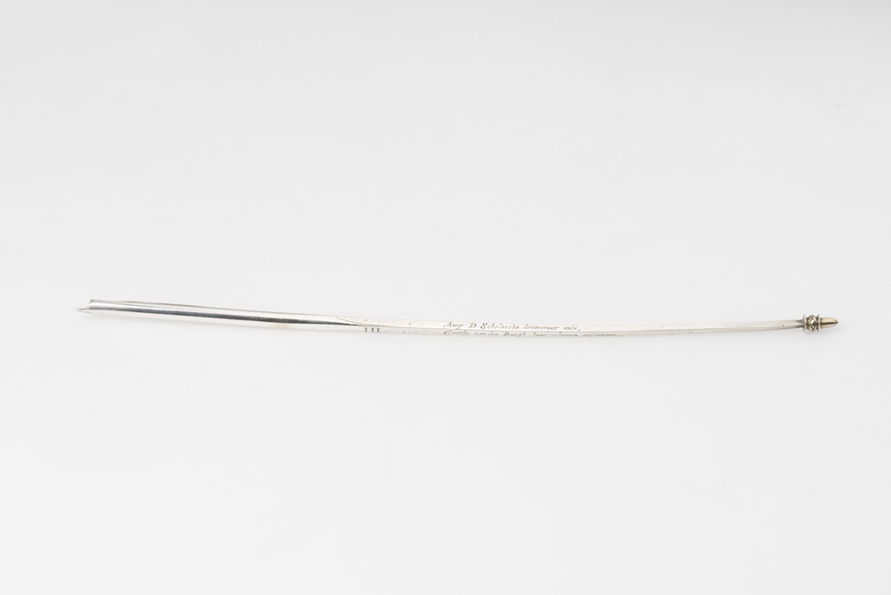 Pen in de vorm van een ganzepen