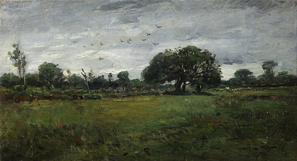 Bosgezicht in Drente