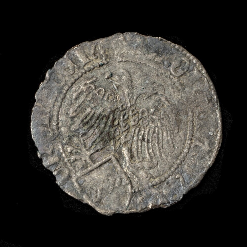 Halve Vlieger 1457, Groningen (Stad)