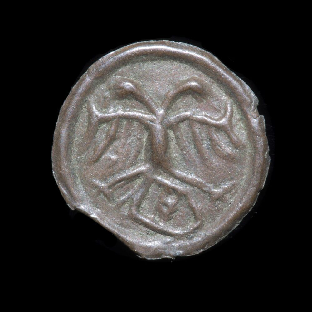 Penning, bracteaat, holmuntje of heller, z.j. (1499?-na 1528), stad Groningen