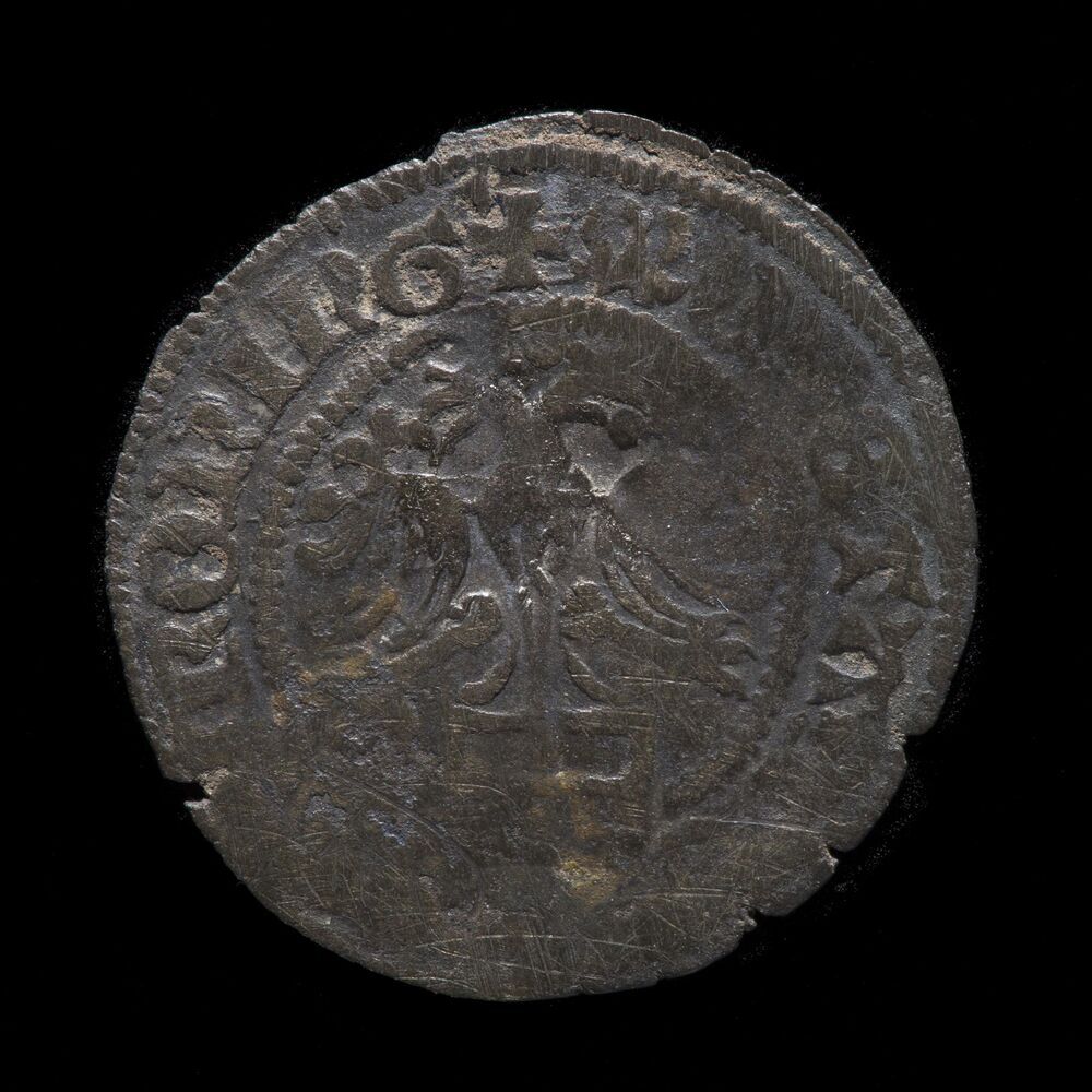 Halve Kromstaart 1504, stad Groningen