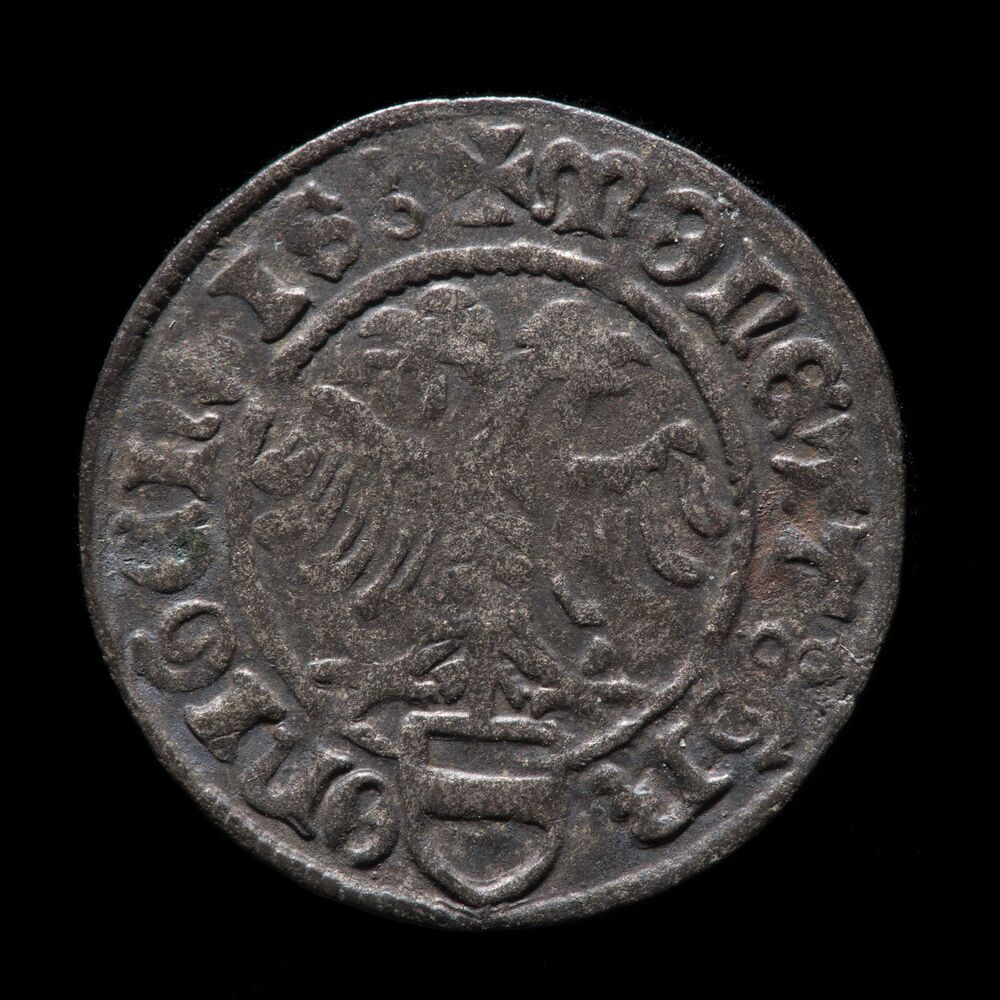 1/3 stadvlieger of dubbele plak z.j. (15e eeuw), stad Groningen