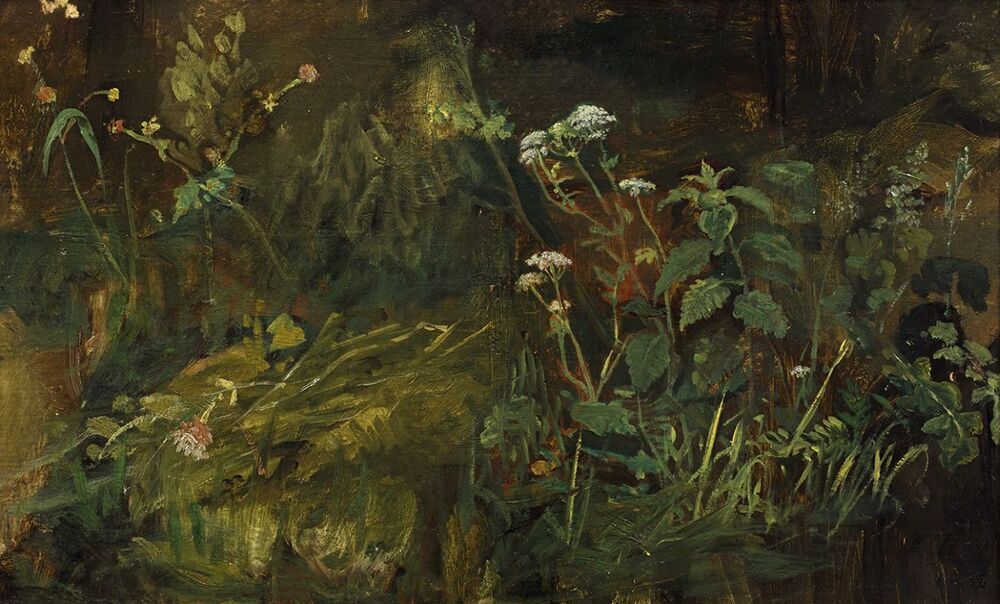 Plekje met wild kruid