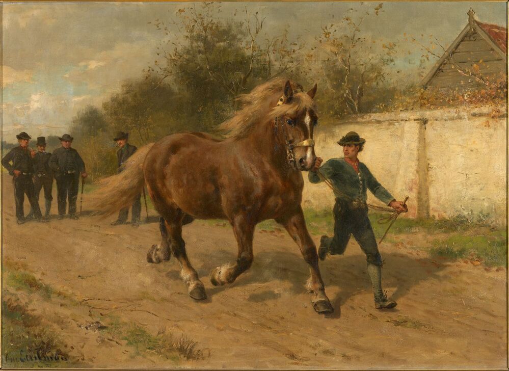 Monstering van een Zeeuwse hengst bij Goes