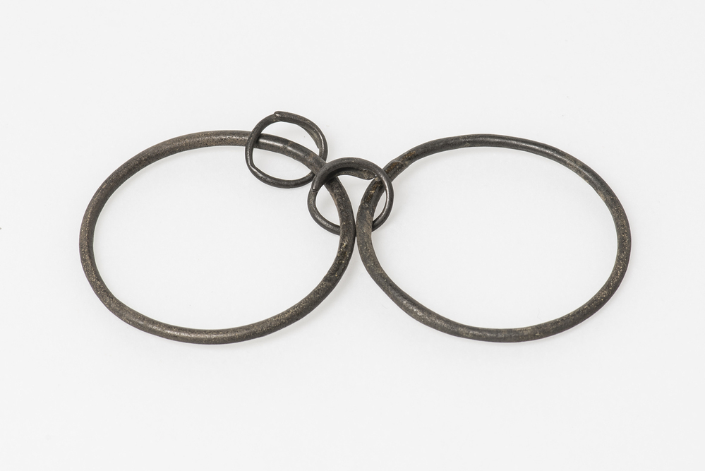 twee ringen