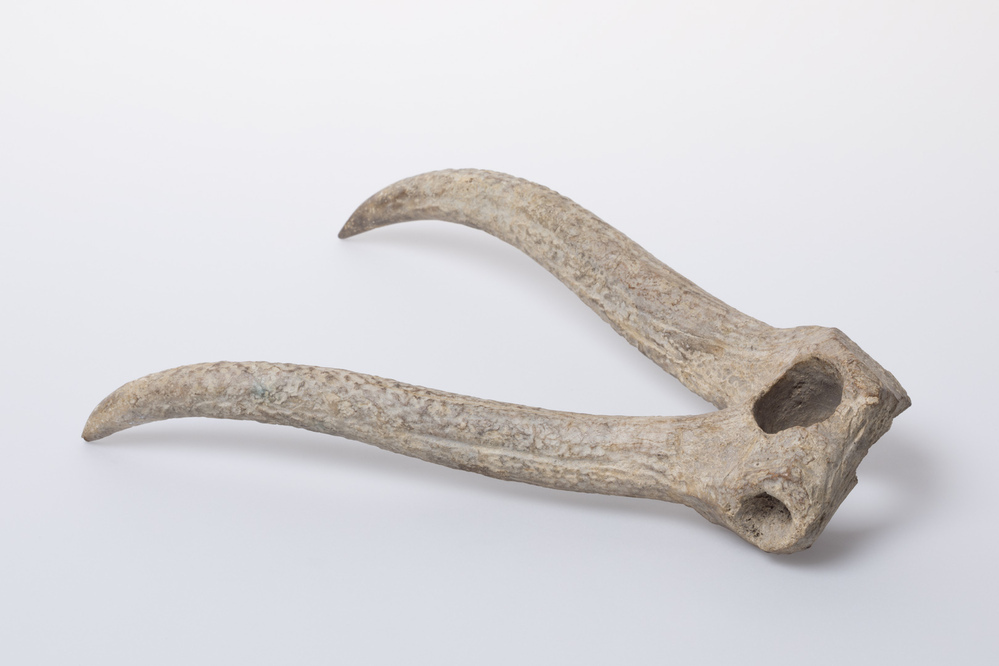 Hertshoorn hak of hooivork (Lutkehuizen)