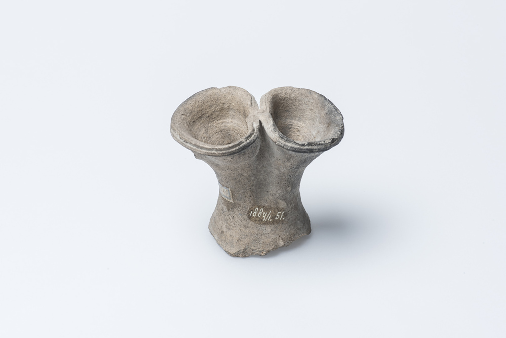 Kruikhals (Ten Boer)