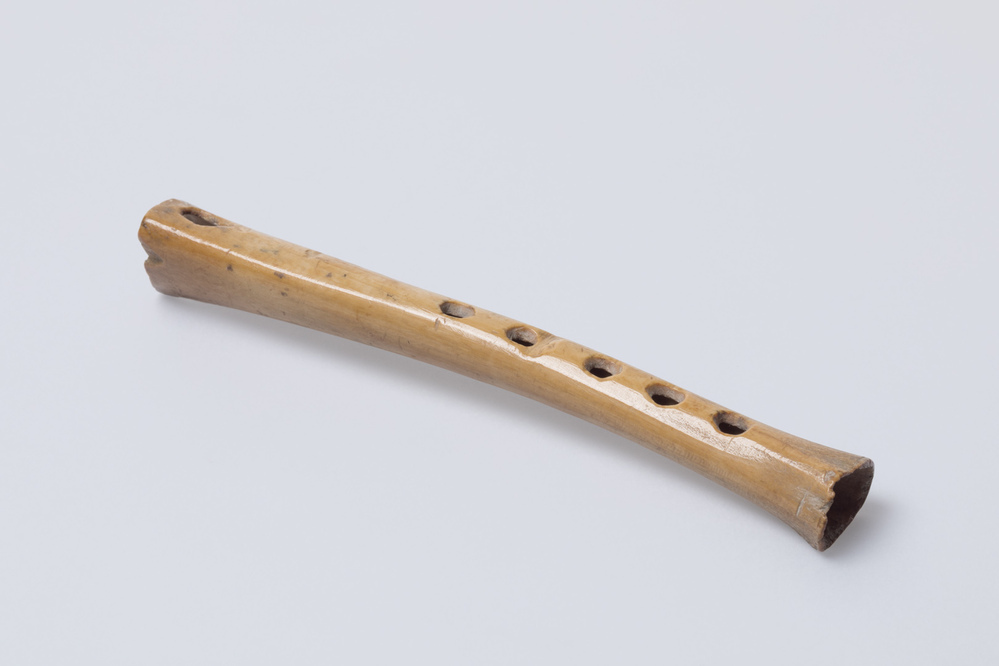 Benen fluit (Feerwerd)