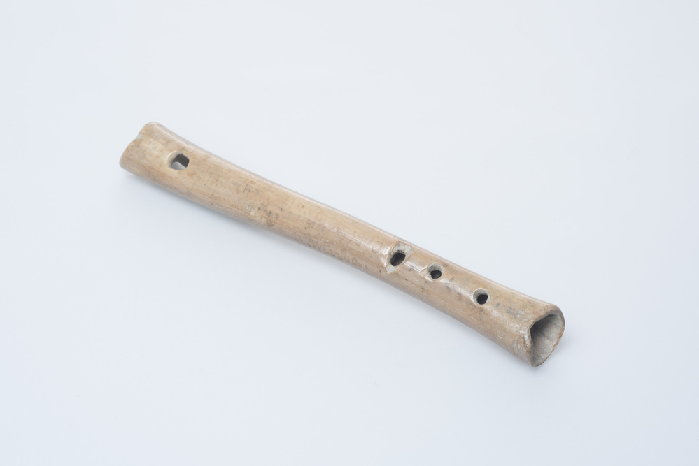 Benen fluit (Schillingeham)