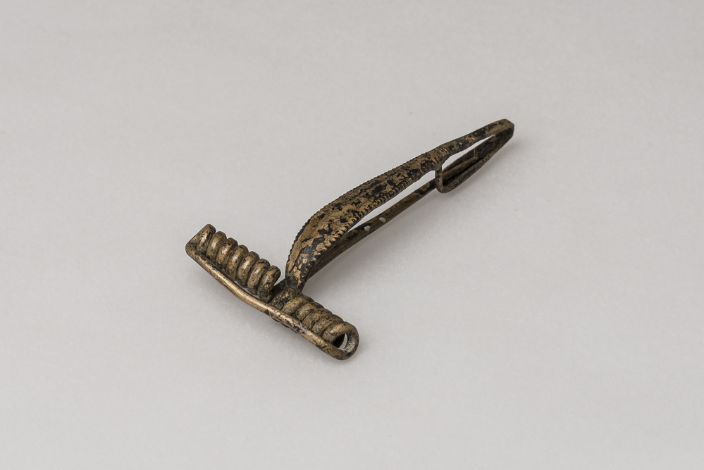 Late La Téne fibula (Westerwijtwerd)
