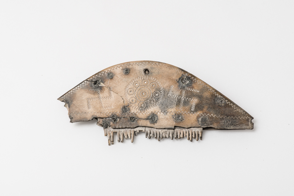 Benen haarkam (Eenum)