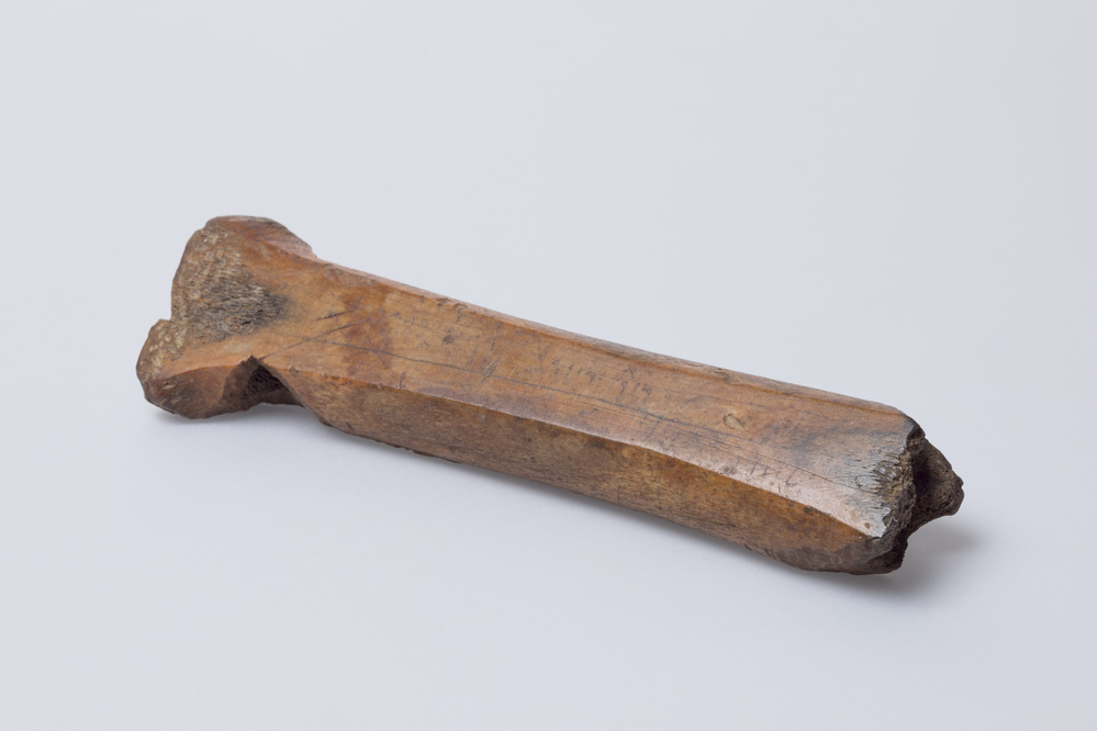 Glijbeen of glis (Winsum)