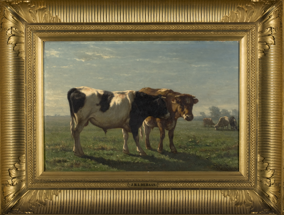 Twee pinkstieren in Hollandse weide, zomermiddag