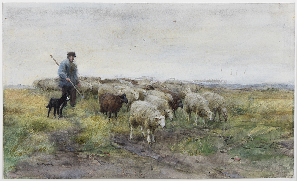 Herder met kudde schapen