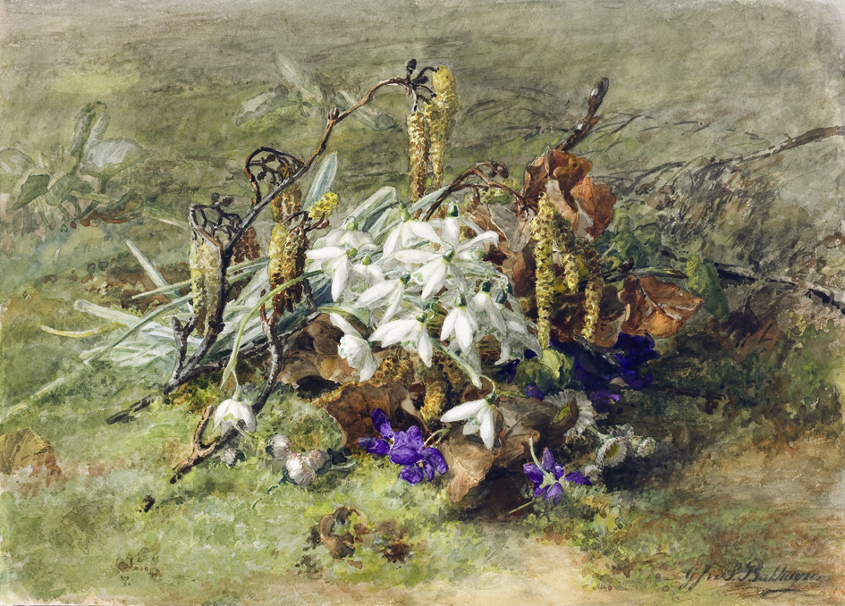 Bloemstudie met sneeuwklokjes