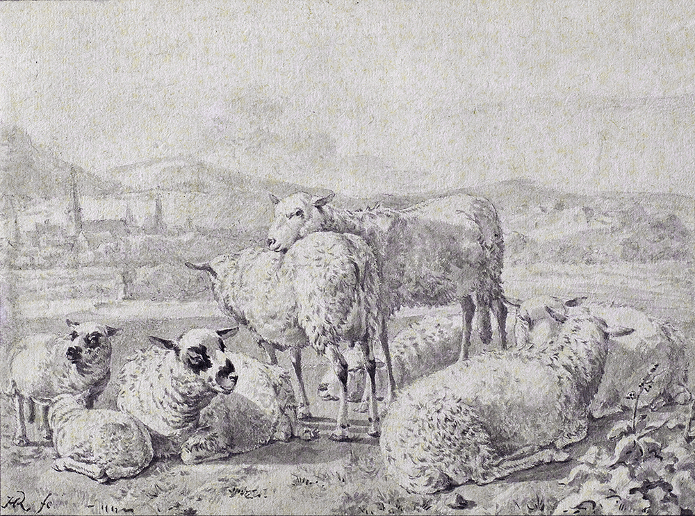Landschap met schapen