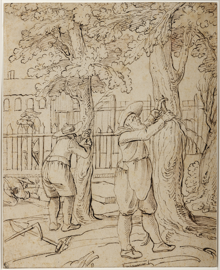 Twee bomen snoeiende mannen