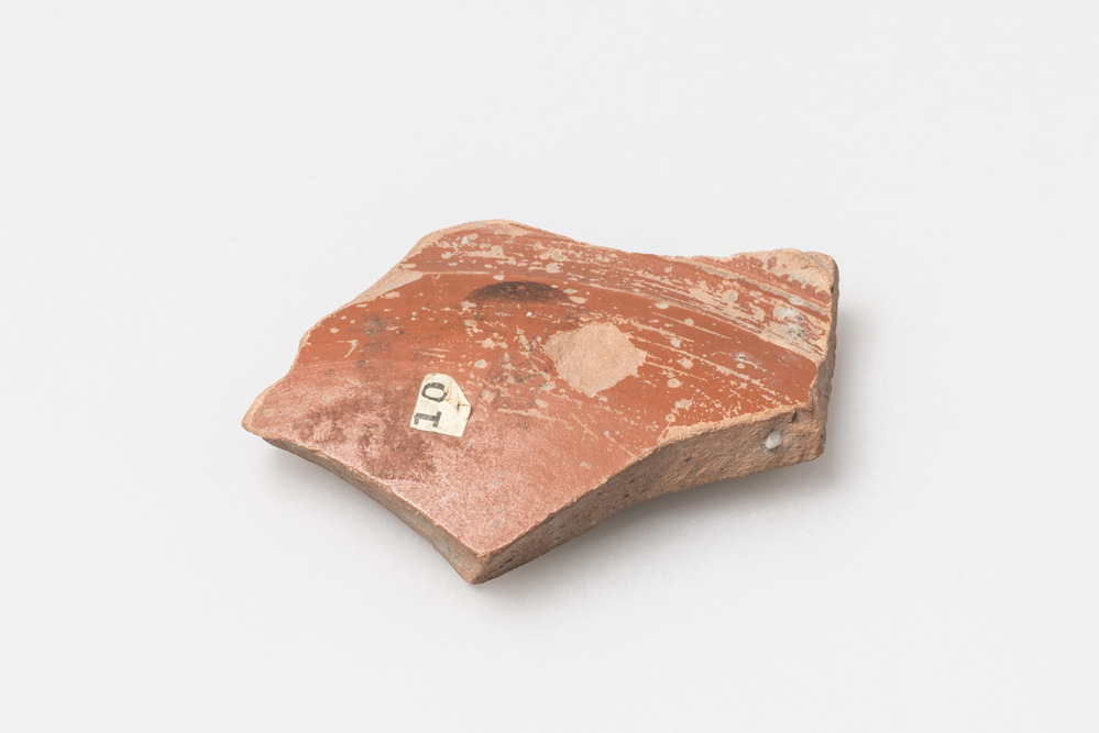 Scherf van terra sigillata (Oosterwijtwerd)