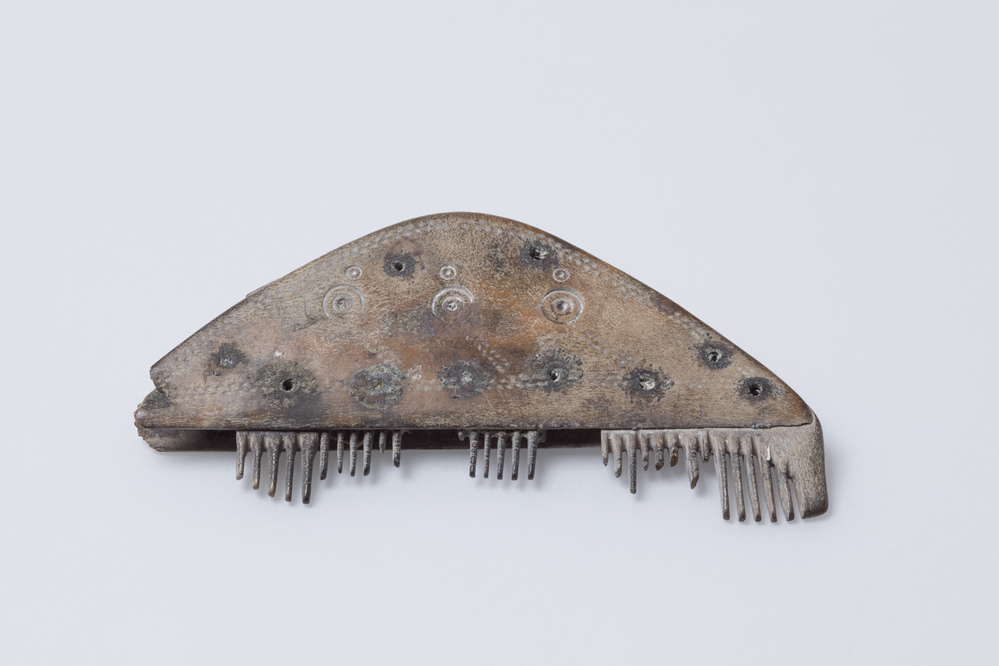 Benen haarkam (Oosterwijtwerd)