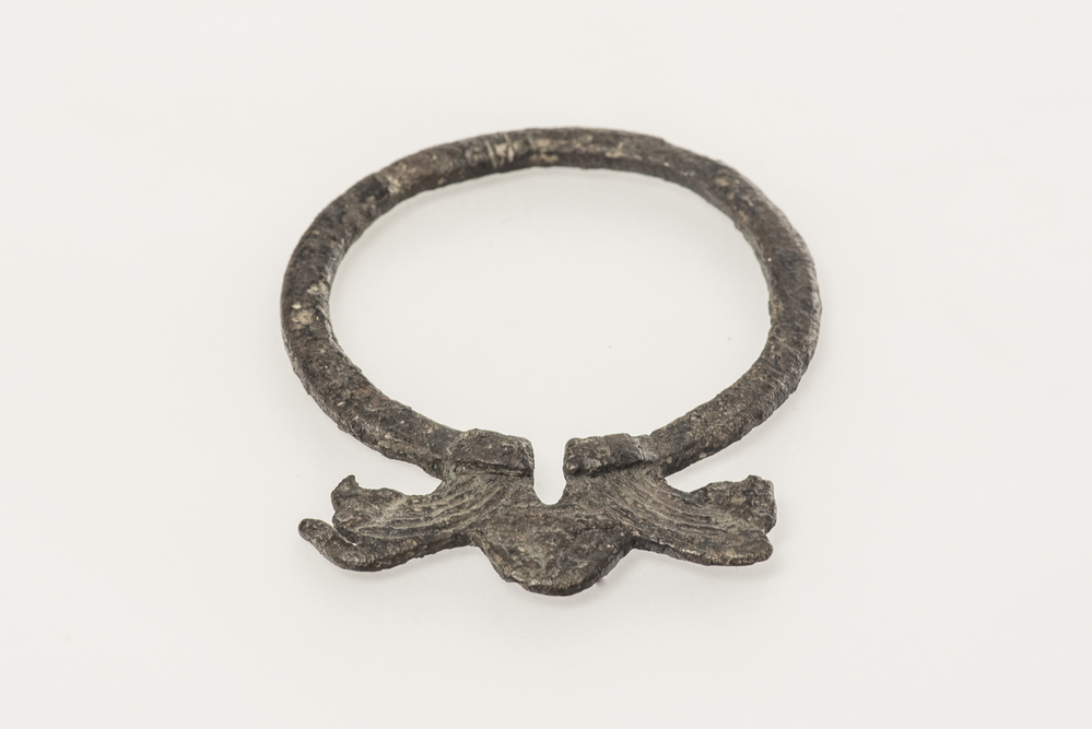 Fibula (of gesp) (Oostum)