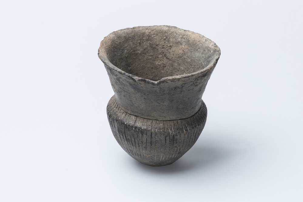 Bokaalvormige beker (Veele)