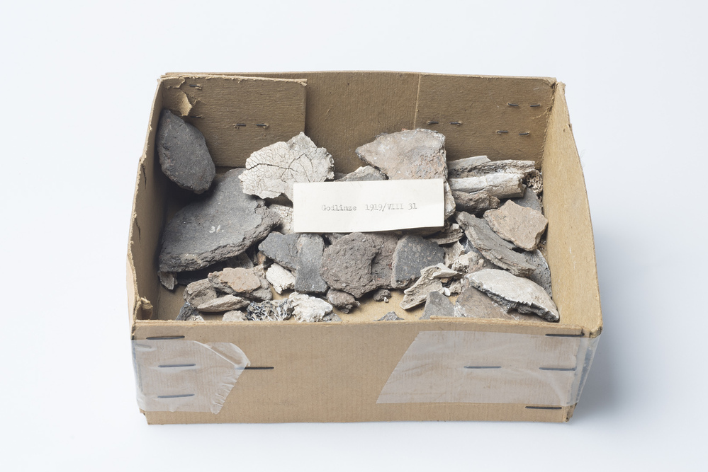 Diverse scherffragmenten (grafveld Godlinze)