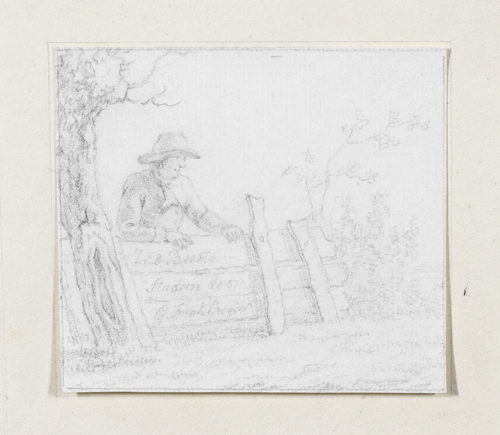 Zes beeste studien (zes koeien)